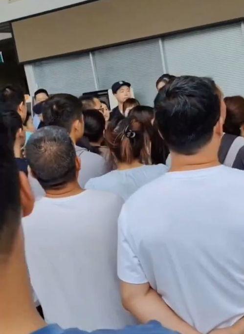 西安小孩爆料事件最新,揭秘校园霸凌背后的真相与反思