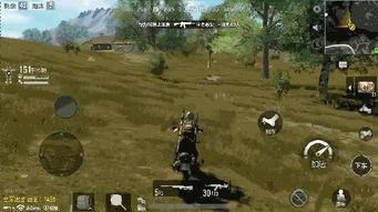 全军出击最新爆料图,全新爆料图揭秘战场新格局