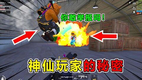 吃鸡爆料侠客视频大全最新,揭秘热门游戏幕后故事与精彩瞬间